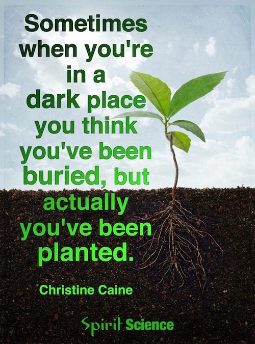 Christine Caine you've been planted
